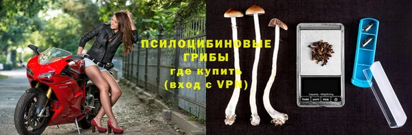 дурь Абаза