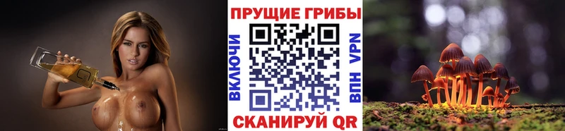 сайты даркнета какой сайт kraken маркетплейс Туапсе Псилоцибиновые грибы мухоморы